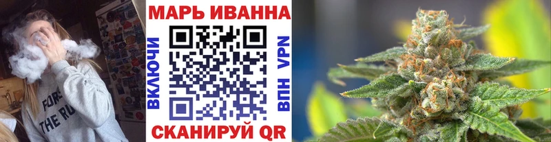 МЕФ Алейск
