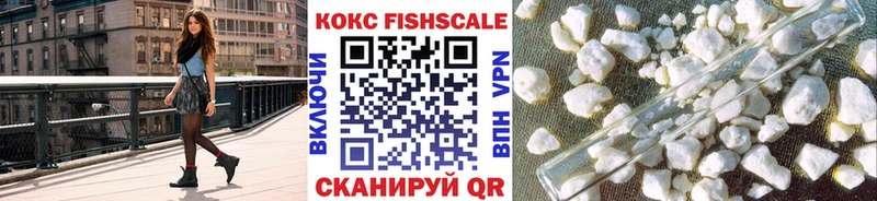 магазин  наркотиков  Алейск  Cocaine Fish Scale 