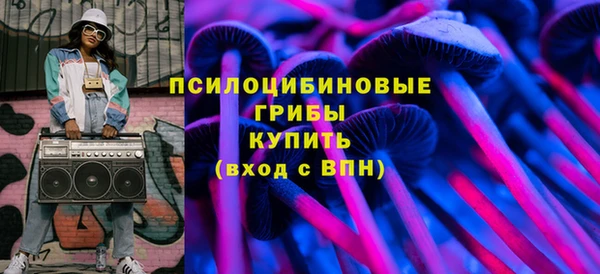 соль ск Липки