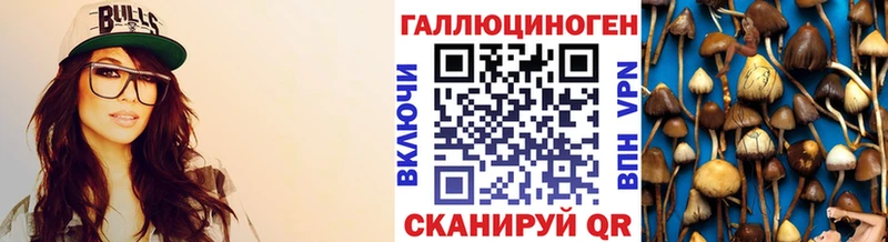 где продают наркотики  Алейск  Псилоцибиновые грибы Psilocybe 