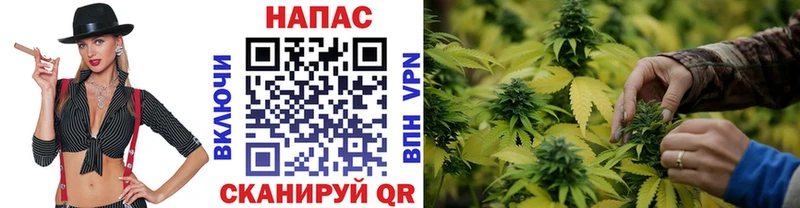 Конопля White Widow  продажа наркотиков  Алейск 